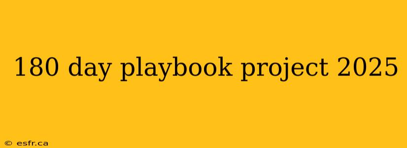 180 day playbook project 2025