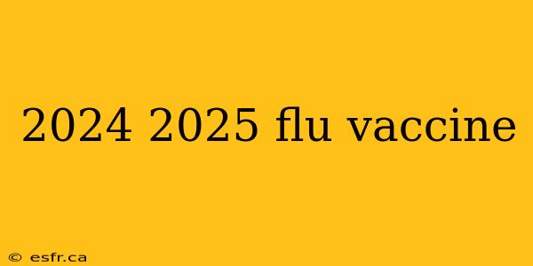 2024 2025 flu vaccine