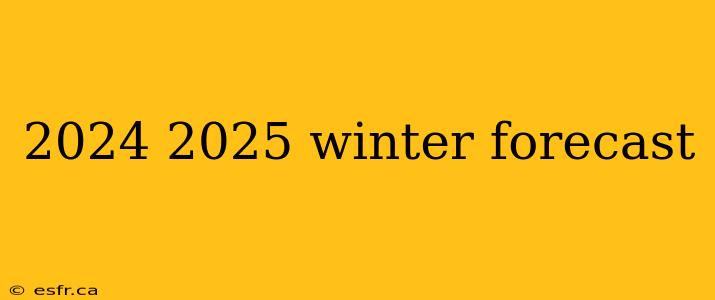 2024 2025 winter forecast