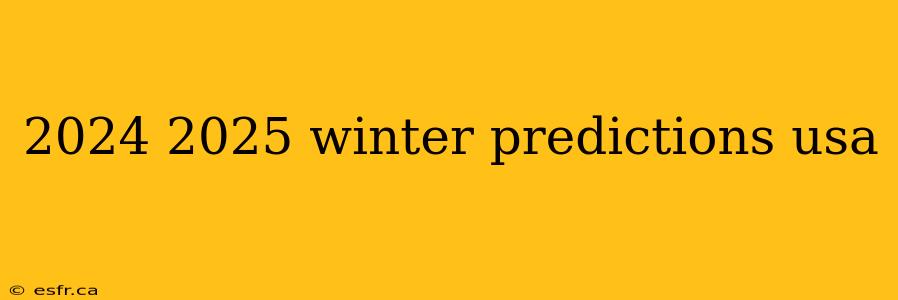 2024 2025 winter predictions usa