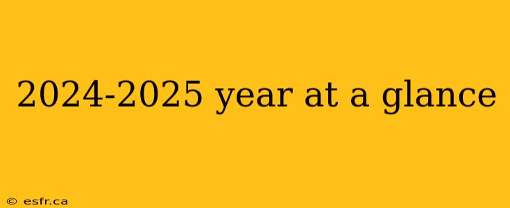 2024-2025 year at a glance