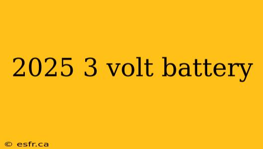 2025 3 volt battery