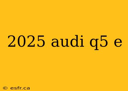 2025 audi q5 e