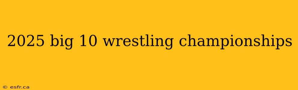 2025 big 10 wrestling championships