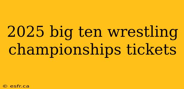 2025 big ten wrestling championships tickets