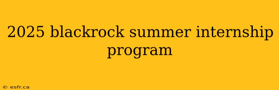 2025 blackrock summer internship program