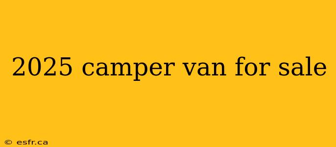 2025 camper van for sale