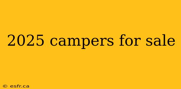 2025 campers for sale