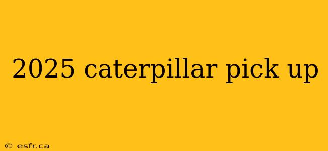 2025 caterpillar pick up