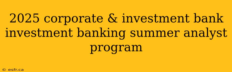 2025 corporate & investment bank investment banking summer analyst program