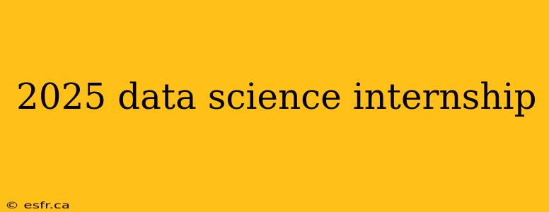 2025 data science internship