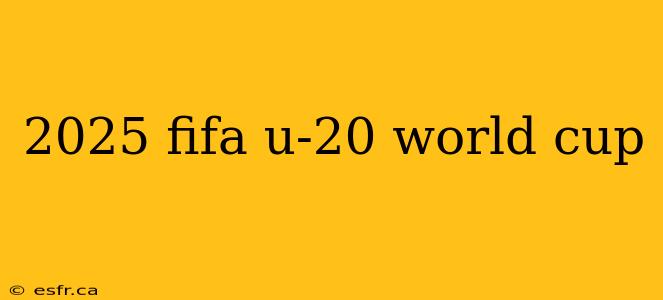 2025 fifa u-20 world cup