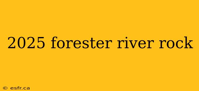 2025 forester river rock