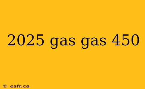 2025 gas gas 450