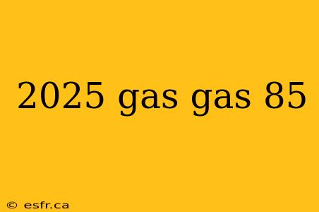 2025 gas gas 85