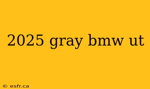 2025 gray bmw ut