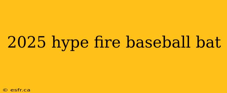 2025 hype fire baseball bat