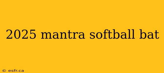 2025 mantra softball bat