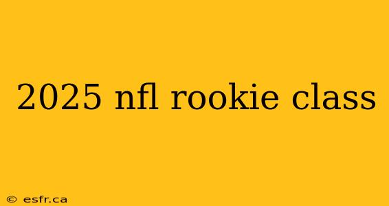 2025 nfl rookie class