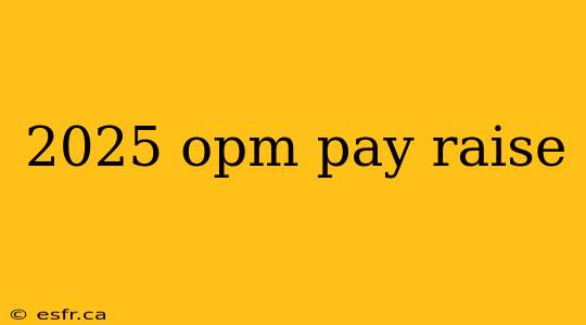 2025 opm pay raise