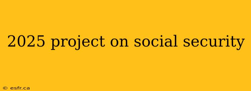 2025 project on social security