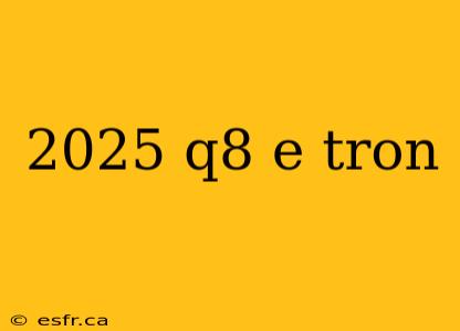 2025 q8 e tron