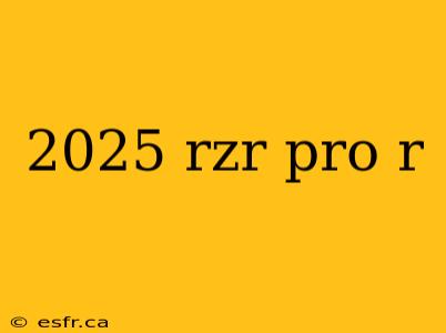 2025 rzr pro r