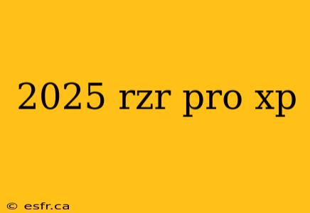 2025 rzr pro xp