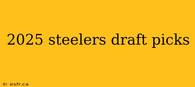 2025 steelers draft picks