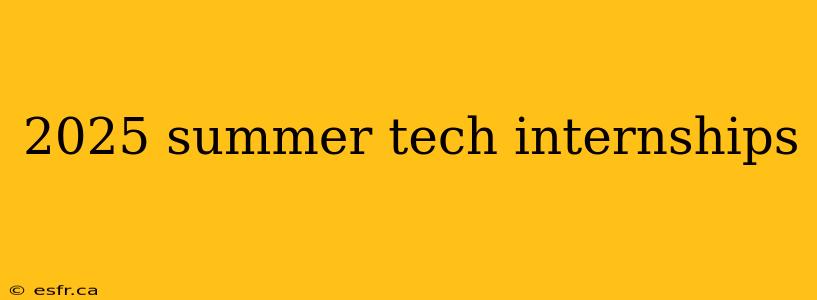 2025 summer tech internships