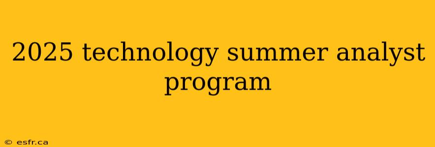 2025 technology summer analyst program