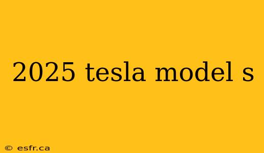 2025 tesla model s