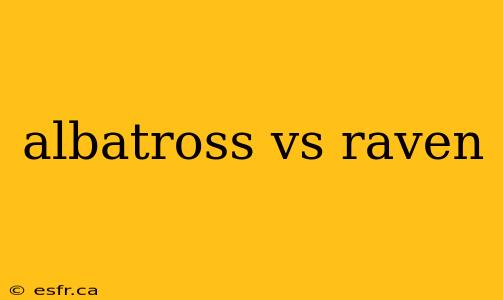 albatross vs raven