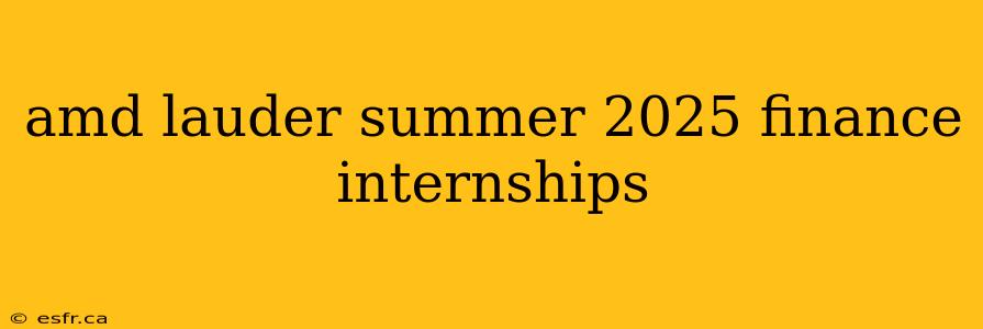 amd lauder summer 2025 finance internships