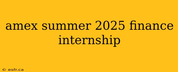 amex summer 2025 finance internship