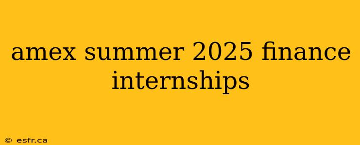 amex summer 2025 finance internships