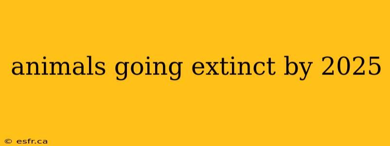 animals going extinct by 2025