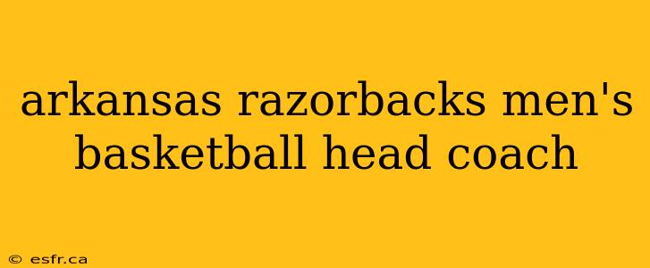 arkansas razorbacks men's basketball head coach