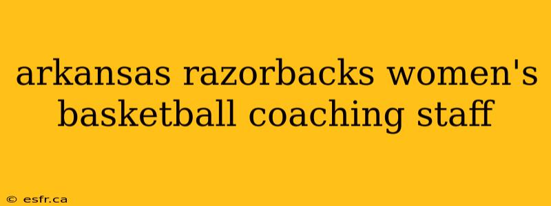 arkansas razorbacks women's basketball coaching staff