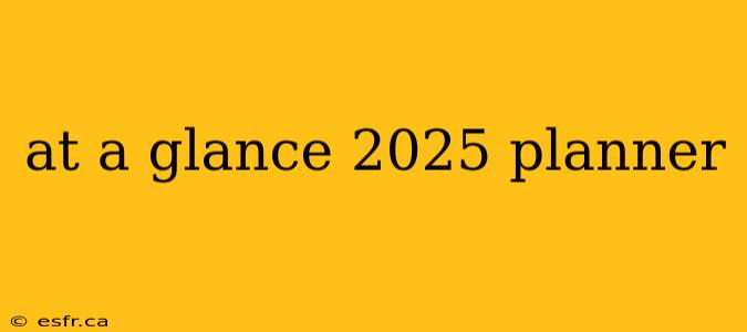 at a glance 2025 planner