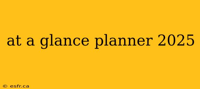 at a glance planner 2025