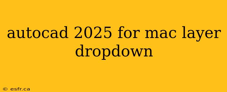 autocad 2025 for mac layer dropdown