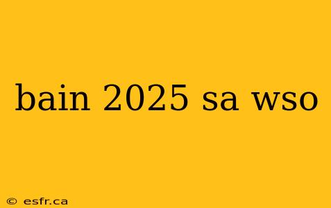 bain 2025 sa wso