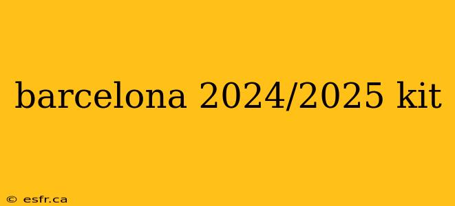 barcelona 2024/2025 kit