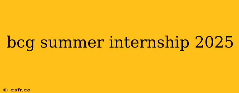 bcg summer internship 2025