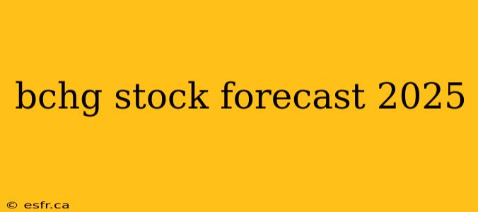 bchg stock forecast 2025