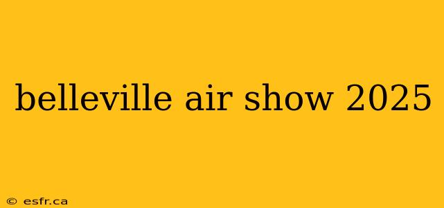 belleville air show 2025