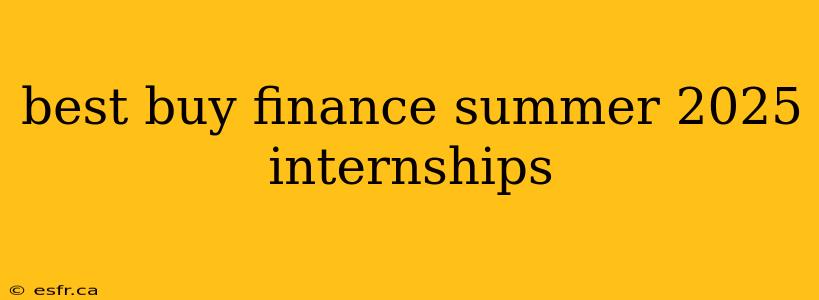 best buy finance summer 2025 internships