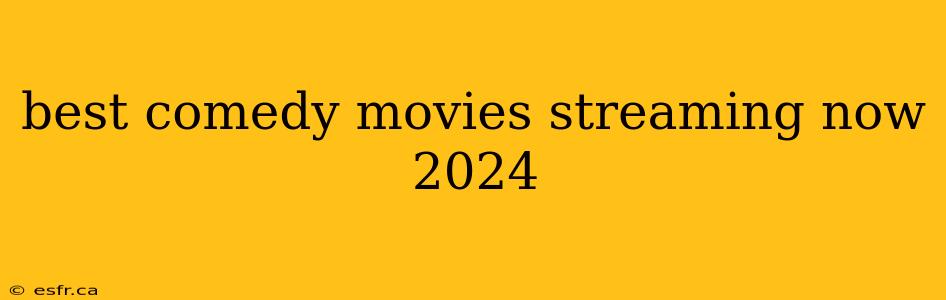 best comedy movies streaming now 2024