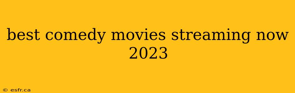 best comedy movies streaming now 2023